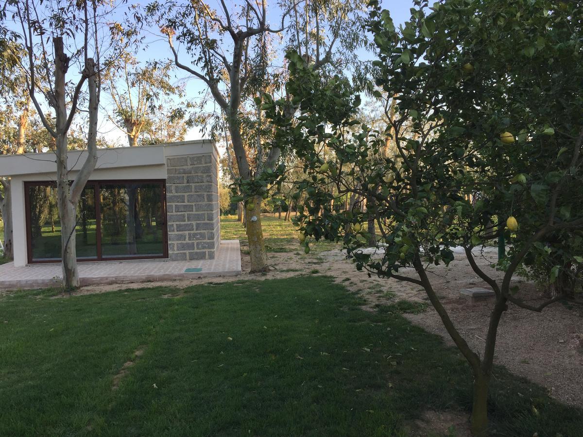 Tenuta Monaci La Murra Carmiano  Екстериор снимка